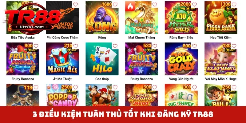 3 điều kiện tuân thủ tốt khi đăng ký TR88